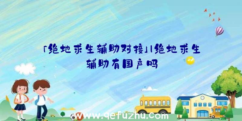 「绝地求生辅助对接」|绝地求生辅助有国产吗